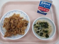 焼き肉どんぶり　酢の物