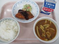 さかなのフライ　せんぎりキャベツのサラダ　カレーうどん