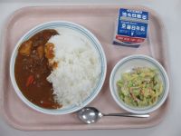 ジビエカレー　キャベツのサラダ