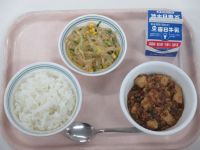 マーボー豆腐　中華サラダ