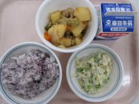 ゆかりご飯　肉じゃが　枝豆とツナのサラダ