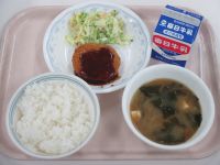 メンチカツ　キャベツのサラダ　みそ汁
