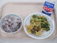 ゆかりご飯　ジビエウインナーのかき揚げ　小松菜のツナあえ◎ジビエウインナーは和歌山県からいただきました。小松菜は新宮市で採れたものです。