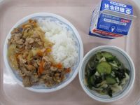 肉どんぶり　酢の物