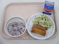 ゆかりご飯　揚げ春巻　枝豆とツナのサラダ