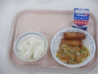 肉野菜炒め　揚げ春巻