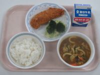 ささみフライ・カレーうどん・ゆで野菜