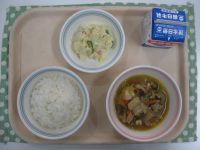 ごはん、肉どうふ、ツナポテサラダ