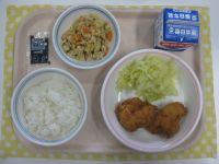 ごはん、ささみのフライ、ゆでキャベツ、とふの粉のにもの
