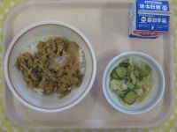 焼肉丼、えだまめとツナのサラダ