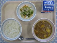 ごはん、豆腐のカレー煮、もやしのナムル