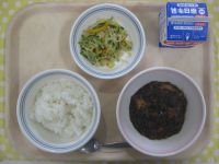 ごはん、マーボー豆腐、ハリハリサラダ