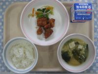 ご飯、まぐろのケチャップ煮、ちんげんさいのナムル、豆腐のみそ汁
