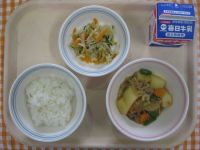 ご飯、肉じゃが、ハリハリサラダ