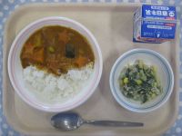 夏野菜カレー、ポパイサラダ