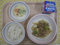 ご飯、豚肉のしょうが焼き、ポテトサラダ