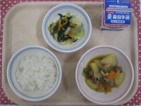 ご飯、肉じゃが、ほうれん草とツナのサラダ