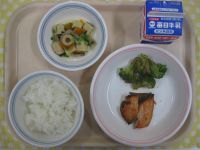 ご飯、鮭の西京やき、ブロッコリーのおかかあえ、高野豆腐の煮物